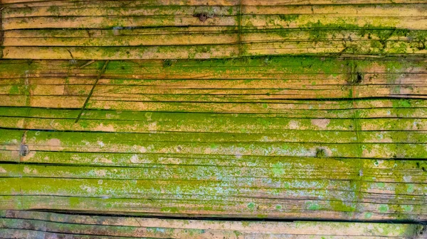 Mossy Bamboe Muur Textuur Als Achtergrond Rechtenvrije Stockafbeeldingen