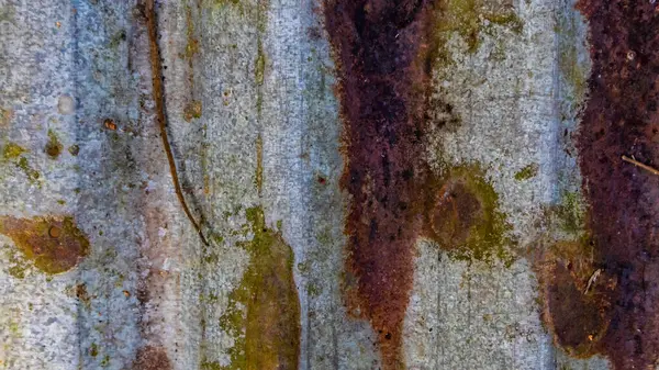 Textura Zincului Ruginit Fundal — Fotografie, imagine de stoc