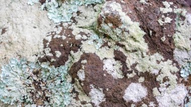 Arka plan olarak inanılmaz taş dokusu