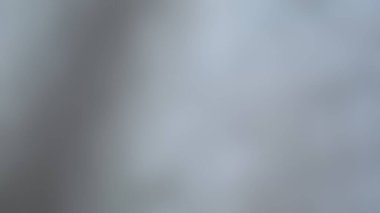 arkaplan için bulanık gri kot dokusu