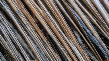 Arkaplan olarak kuru palmiye yaprağı dokusu