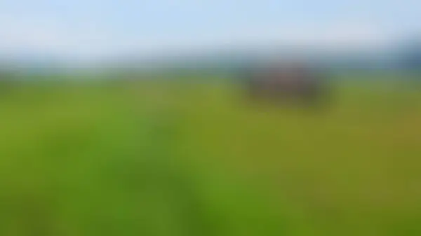 Расплывчатая Каюта Посреди Рисовых Полей Окруженная Холмами — стоковое фото
