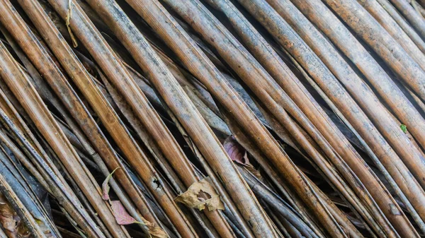 Текстура Сухих Листьев Пальмы Качестве Фона — стоковое фото