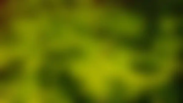 그라디언트는 배경으로 아름다운 흐리게 — 스톡 사진