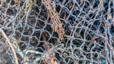 arkaplan olarak balık ağı dokusu