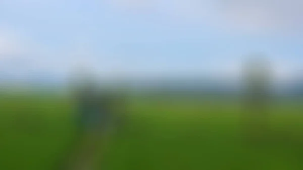 blurred cabin in the middle of rice fields surrounded by hills