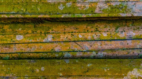 Mossy Struttura Della Parete Bambù Come Sfondo — Foto Stock