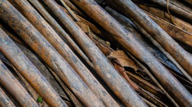 Arkaplan olarak kuru palmiye yaprağı dokusu