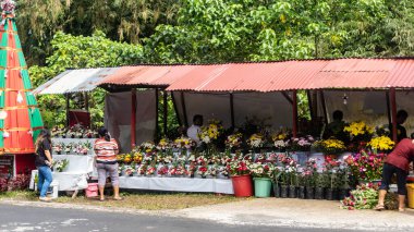 Tomohon, Endonezya: Aralık 2022, yeni yıldan hemen önce hareketli bir çiçekçi dükkanı