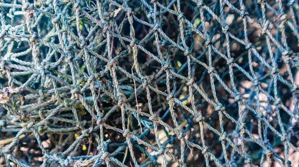 背景として魚の網の質 — ストック写真