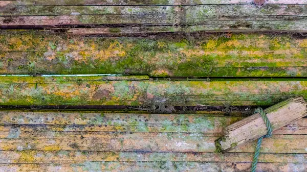 背景为苔藓竹壁质感 — 图库照片