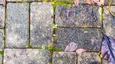 Arkaplanda sonbahar yaprakları olan kaldırım blokları