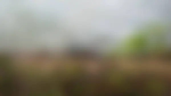 Gradient Blurred Wavy Water Bark Foreground Background — Stock Photo, Image