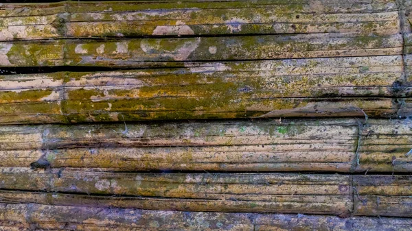 Moosbewachsene Bambuswandtextur Als Hintergrund — Stockfoto