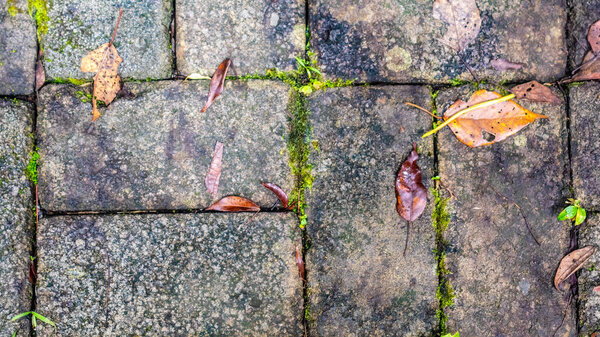Paving blocks with autumn leaves in the background