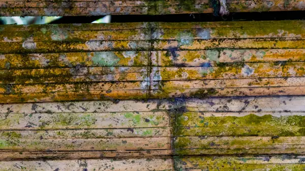 Mossy Bambusowa Ściana Tekstury Jako Tło — Zdjęcie stockowe