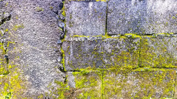 Моховая Кирпичная Стена Фон — стоковое фото