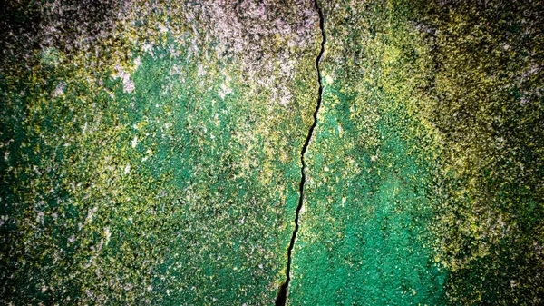 Стіни Блідою Зеленою Фарбою — стокове фото