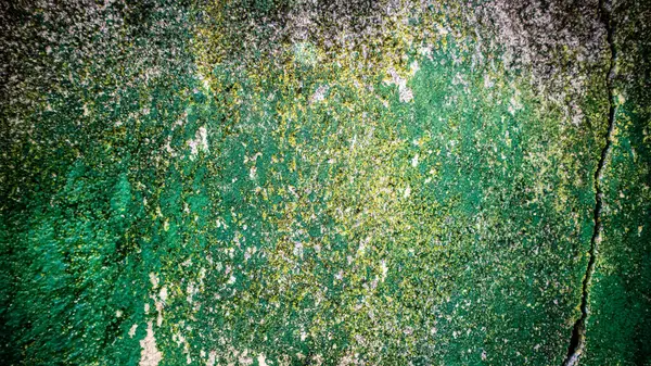 Стіни Блідою Зеленою Фарбою — стокове фото