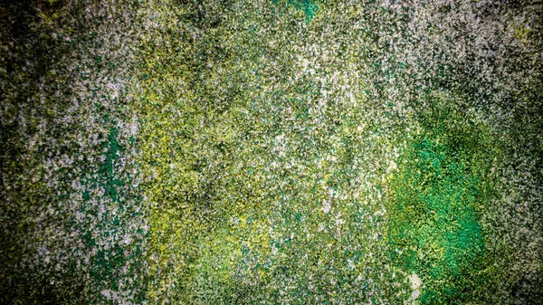 Muren Met Vervaagde Groene Verf — Stockfoto