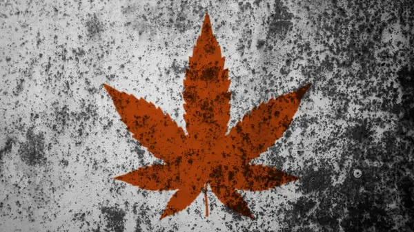 背景のための大麻の葉の質 — ストック写真