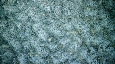 Arkaplan olarak çimento ya da beton duvar