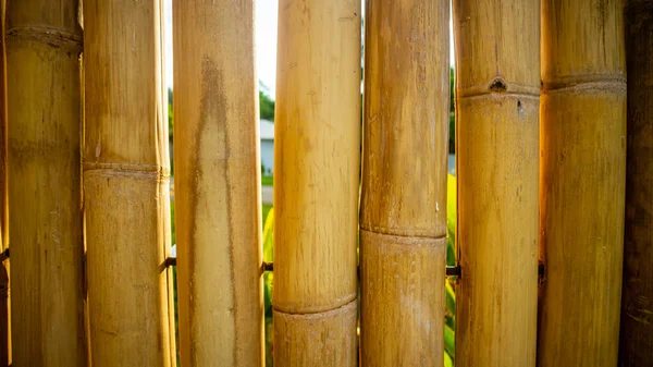 Bambú Seco Perfectamente Dispuesto Una Valla —  Fotos de Stock