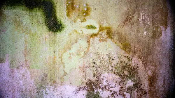 Alte Schmutzige Wände Mit Schimmel Und Schimmel Bedeckt — Stockfoto
