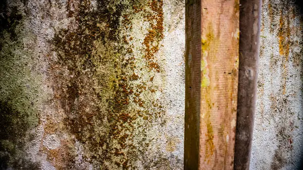 Old Dirty Walls Covered Mold Mildew — Stock Photo, Image