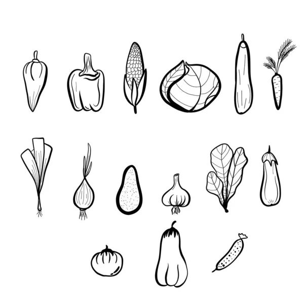 Gemüse Leinen Kunst Handgezeichnet Set — Stockvektor