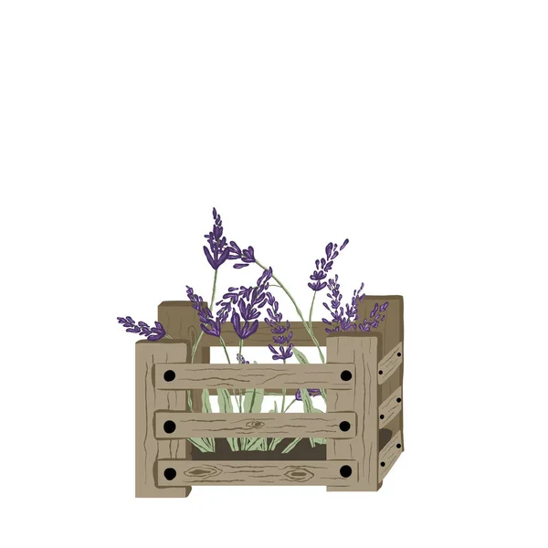Vektor Illustration Lavendel Låda Högkvalitativ Illustration — Stock vektor