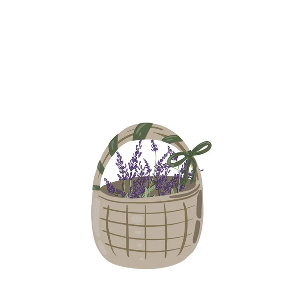 Lilac Lavender Braun Basket Green Ribbon — Stock Vector