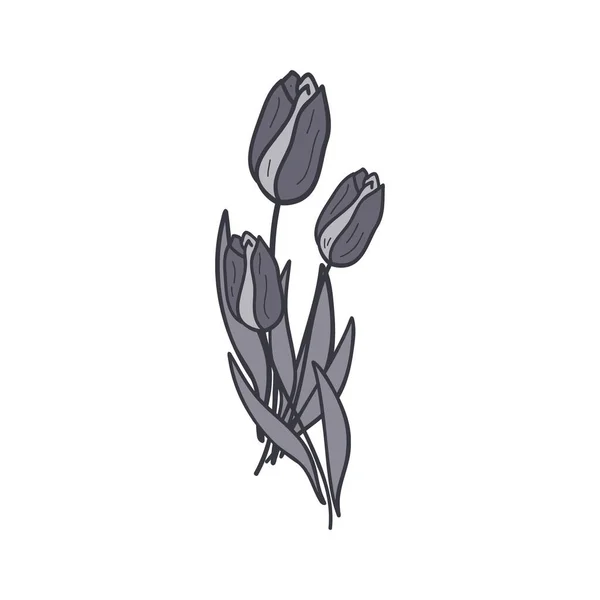 Černobílé Větve Tulipánů Vektorová Ilustrace — Stockový vektor