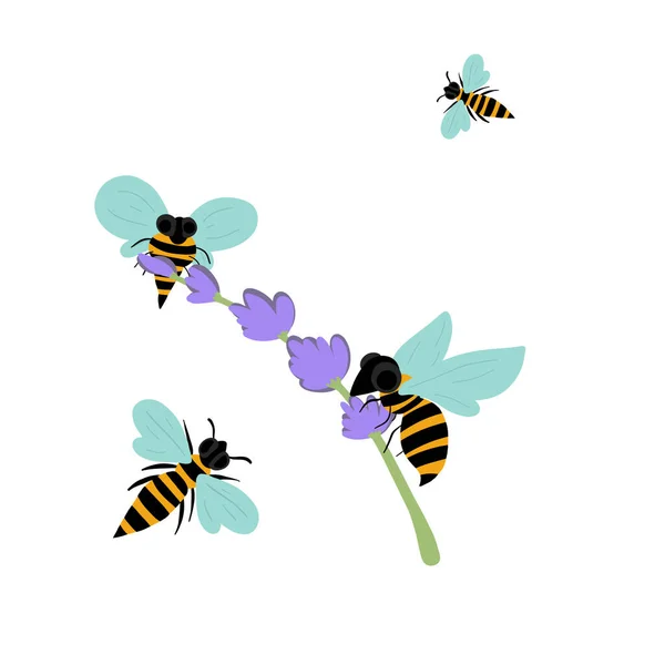 Bienen Fliegen Durch Lavendel Und Machen Honig Vektorillustration — Stockvektor