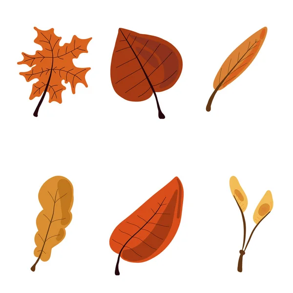 Helle Reihe Von Herbstblättern Ahorn Eiche Vektorillustration — Stockvektor