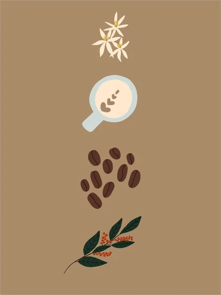 Kaffeeservice Mit Blüten Bohnen Und Becher Vektorillustration — Stockvektor