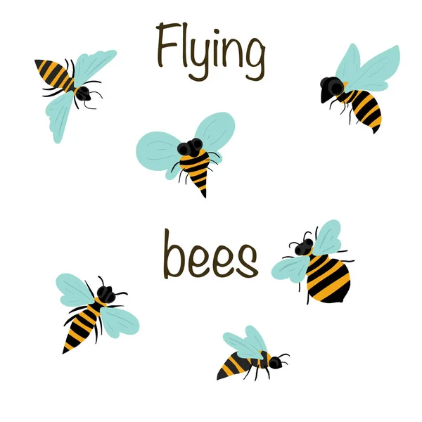 Fliegende Bienen Set Von Sechs Arten Von Bienen Vektorillustration — Stockvektor