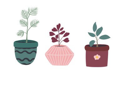 Çiçekler saksıdaki ev bitkileri elle çizilmiş. Vektör illüstrasyonu