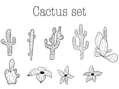 Keten çizilmiş kaktüsler çiçekleri batı tasarımına göre dizayn eder. Vektör illüstrasyonu