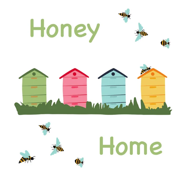 Set Von Hellen Bienenstöcken Mit Fliegenden Bienen Vektorillustration — Stockvektor