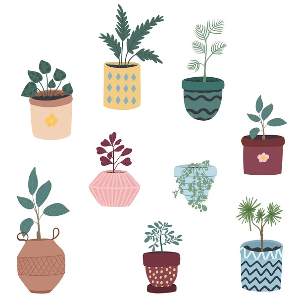 Home Plants Pots Hand Drawn Vector Illustration — Stock Vector