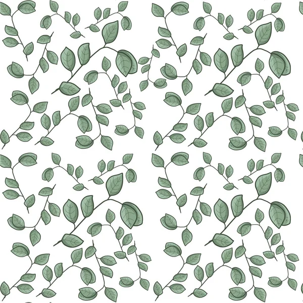 Eucalipt Verde Fără Sudură Model Repeta Fundal Ilustrație Vectorială — Vector de stoc