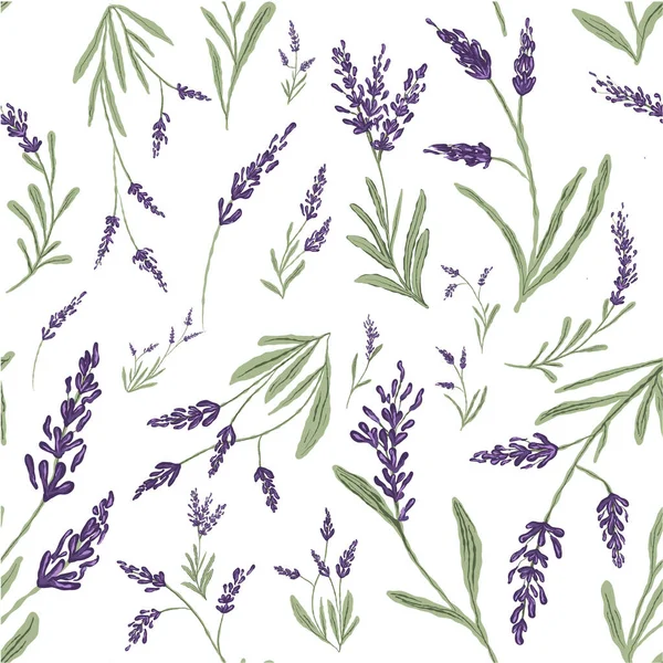 Lavendel Handritat Sömlöst Mönster Vektorillustration — Stock vektor