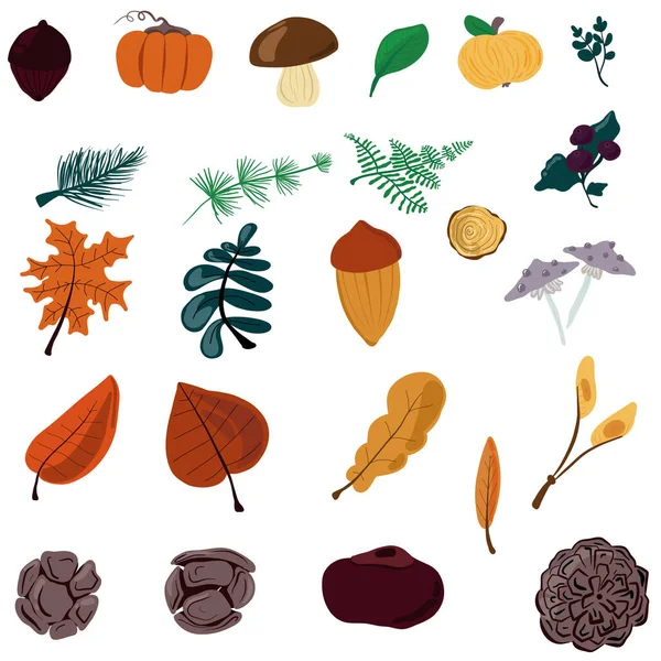 Autumn Set Isolated Objects Leaves Harvest Cones Vector Illustration — Stock Vector