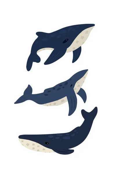 Ensemble Baleines Dessinées Main Différentes Formes Illustration Vectorielle — Image vectorielle
