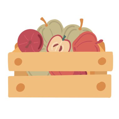 Elmaları beyaz arka planda düz bir kutuda hasat et. Vektör illüstrasyonu