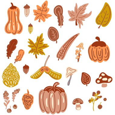 Büyük düz dizayn sonbahar seti balkabağı ve mantar yaprakları. Vektör illüstrasyonu