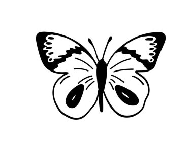 Tek renkli kelebek silueti siyaha boyanmış. Vektör illüstrasyonu