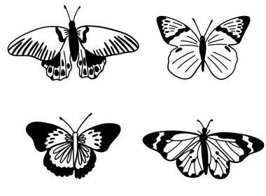 Kelebekli siyah siluetler yedinci set monokrom. Vektör illüstrasyonu