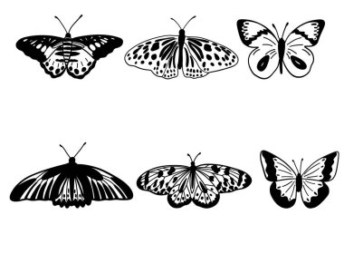 Tek renkli kelebek silueti siyah seti kesmiş. Vektör illüstrasyonu